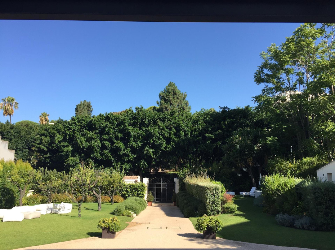 Hotel Villa Fanny主图