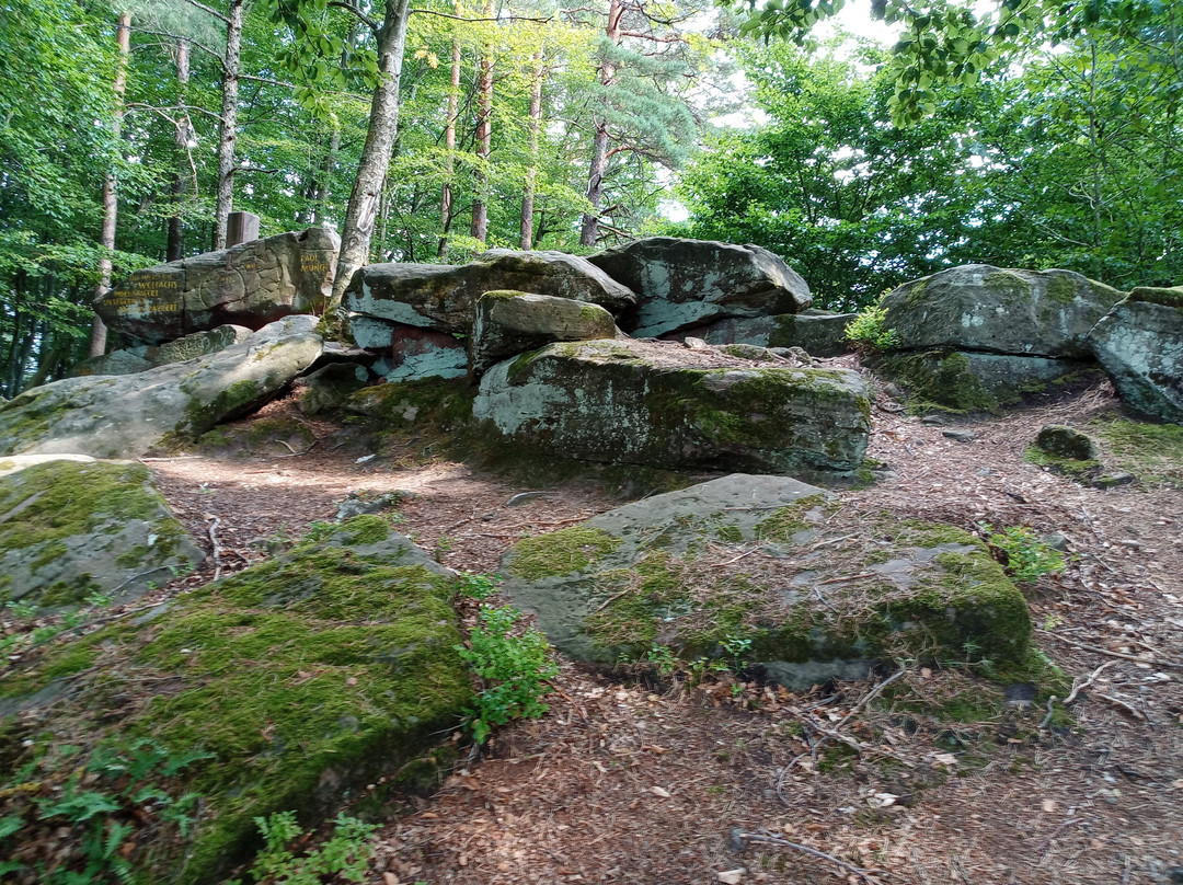 Palzer Weltachs-Hochspeyer必去景点