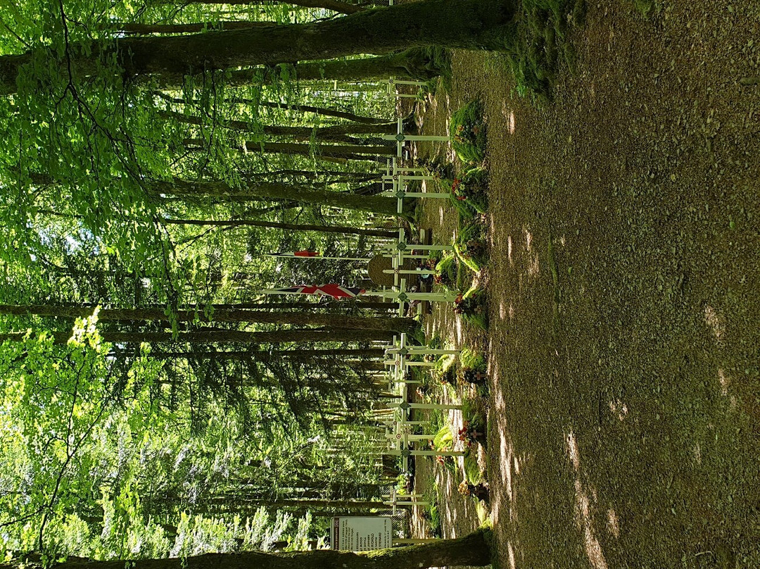 Cimetière Franco-britannique De Coeuzon景点图片