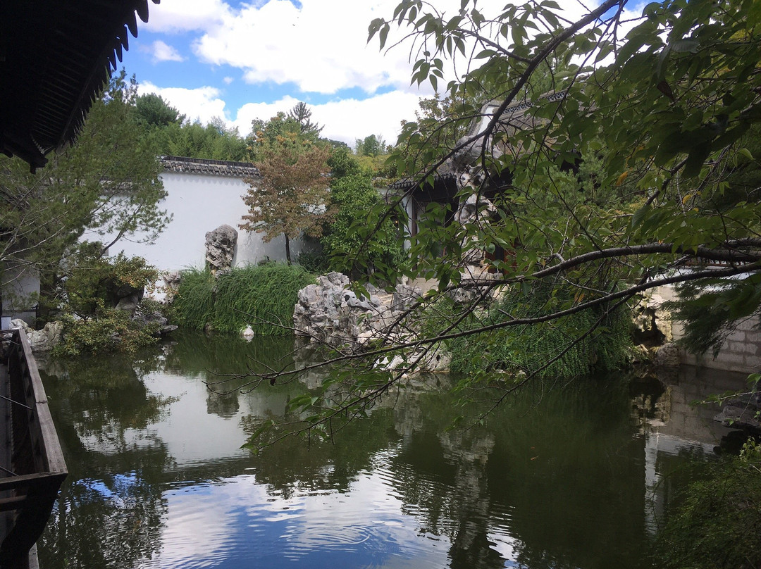 New York Chinese Scholar's Garden景点图片