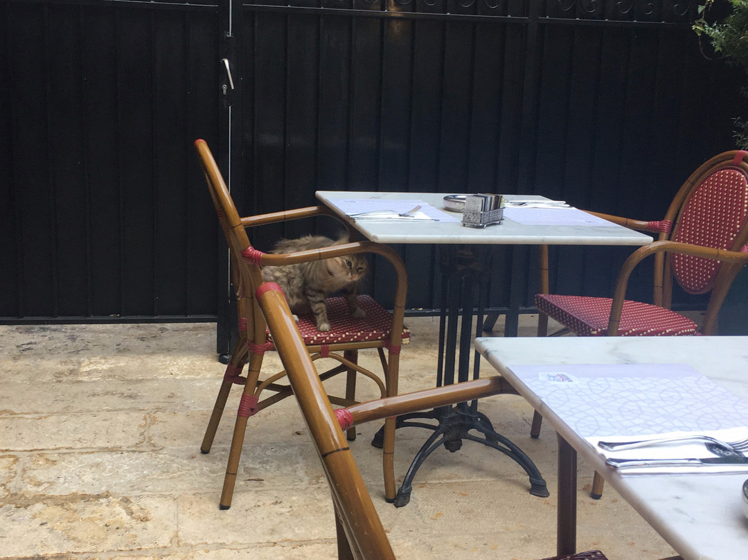 Arthur Hotel - an Atlas Boutique Hotel主图