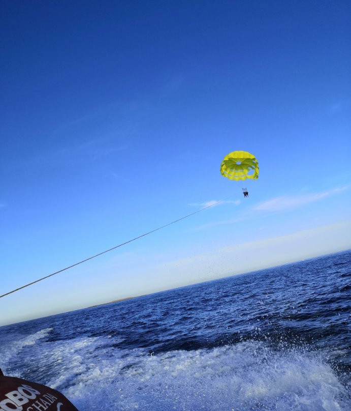 Crazy Waves Diving Club-赫尔格达必去景点