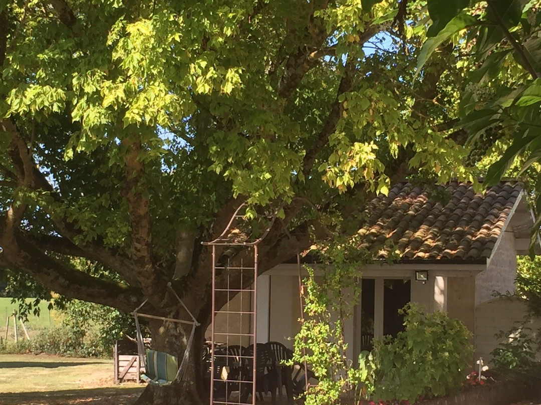 Chateau Pierre de Montignac主图