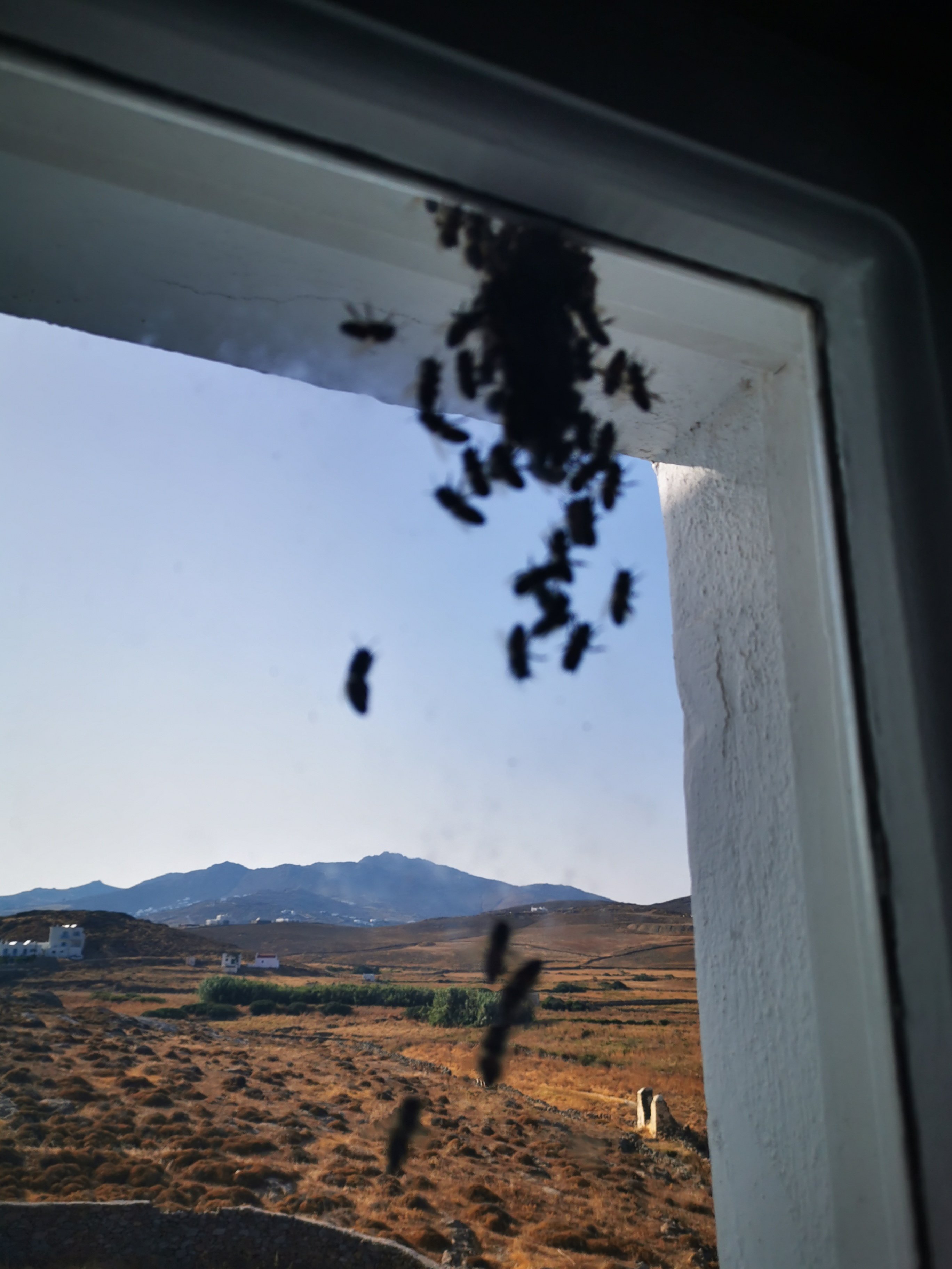 Anamar Mykonos Natural Retreat-酒店景观