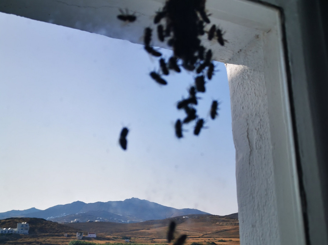 Anamar Mykonos Natural Retreat主图