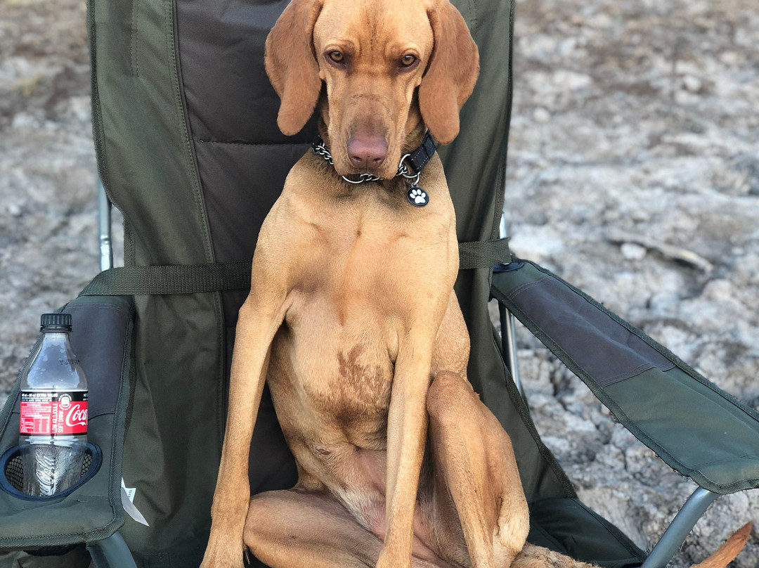 Sterkfontein Dam Nature Reserve-哈利史密斯必去景点