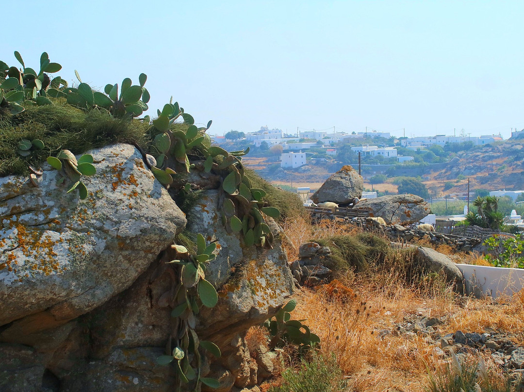 Livin Mykonos Hotel主图