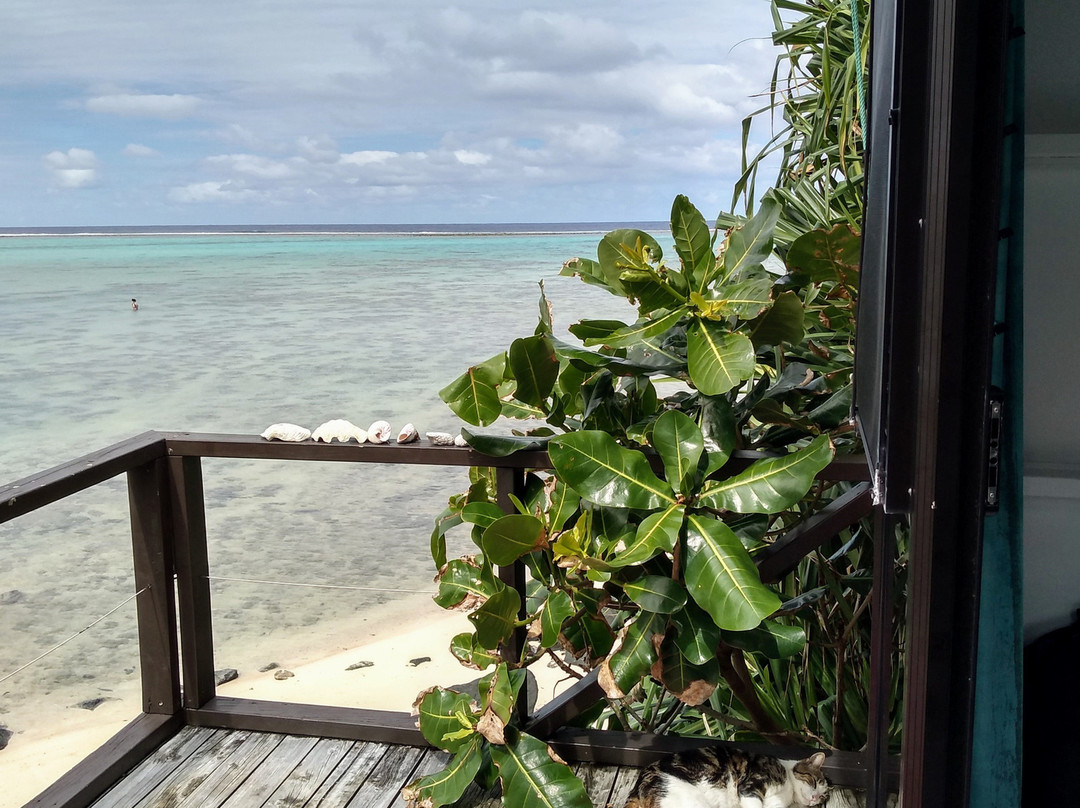 Muri Beach Cottages主图