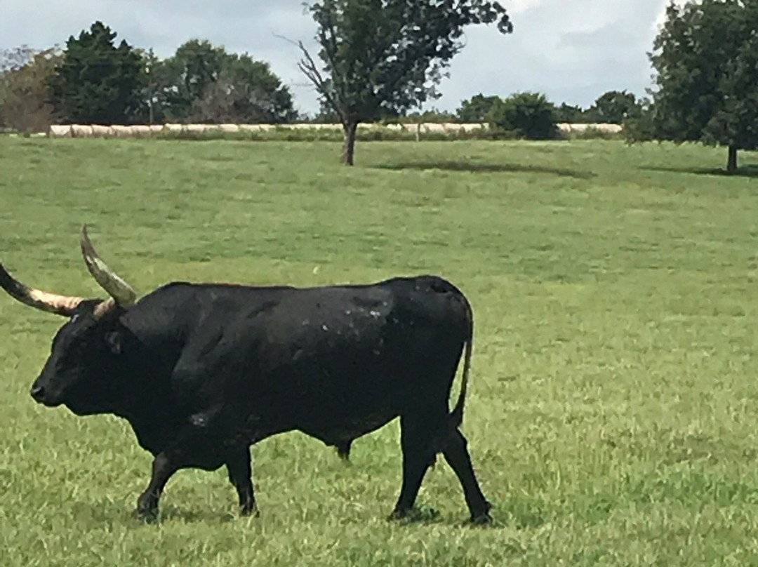 Pawnee Bill's Ranch, Museum and Wild West Show-Pawnee必去景点
