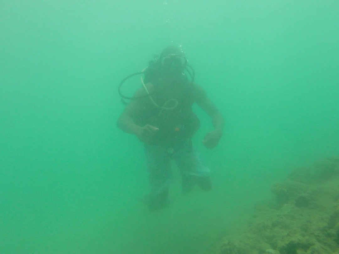 Try Scuba Diving-火奴鲁鲁必去景点