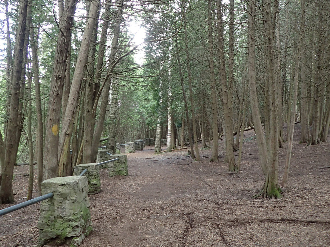 Elora Quarry Conservation Area-伊劳拉必去景点
