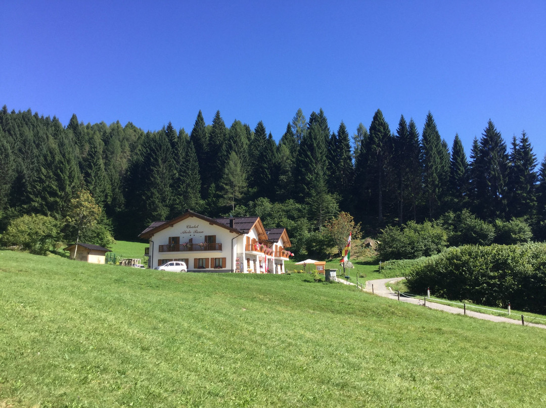 Grigno酒店住宿-Chalet Albergo Abete Rosso