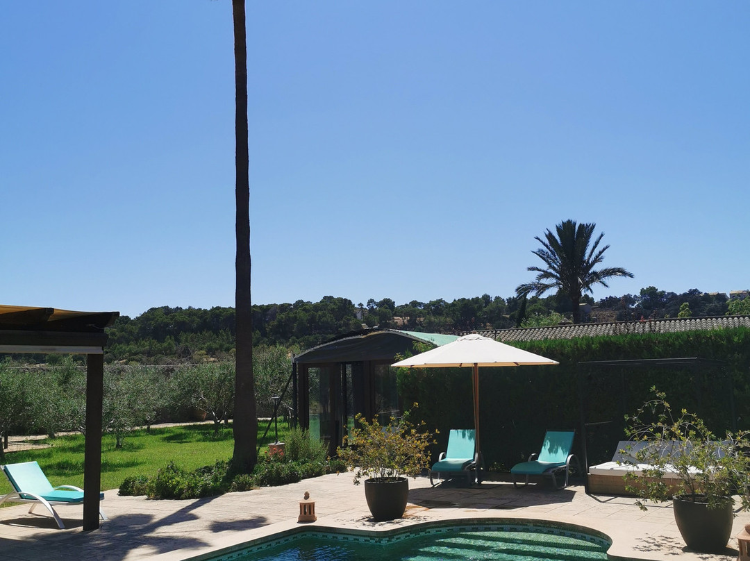 Agroturismo S'Hort De Son Caulelles主图