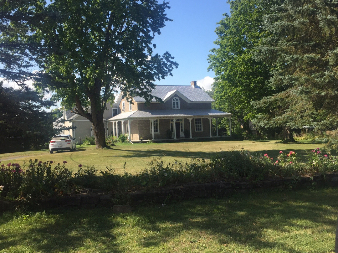 Harlem Stonegate B&B主图