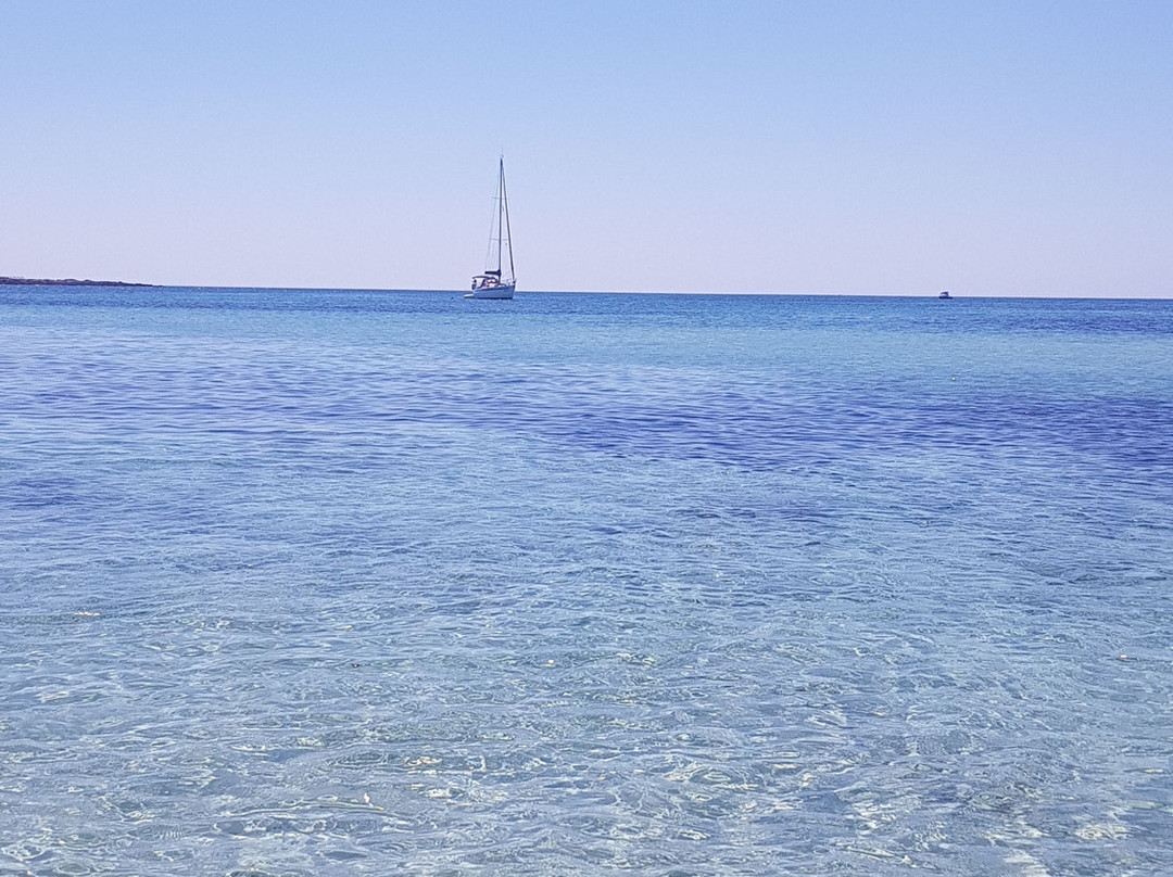 Masseria la Duchessa主图