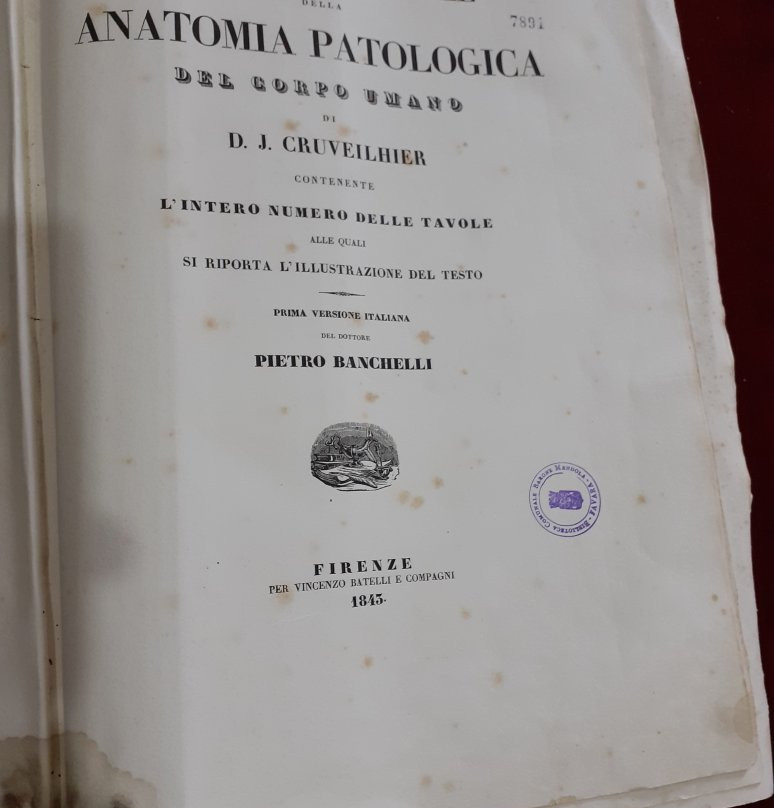 Biblioteca e Museo Comunale Barone Mendola景点图片
