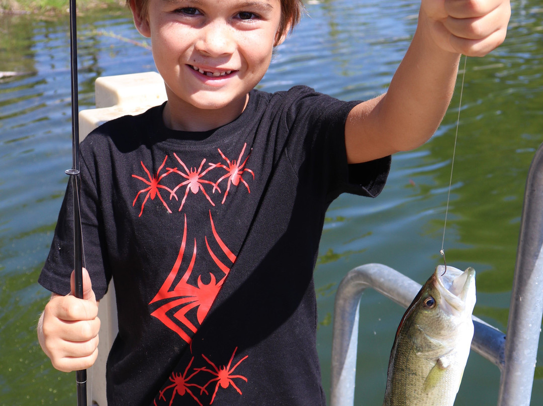 Fischer Park-新布朗费尔斯必去景点