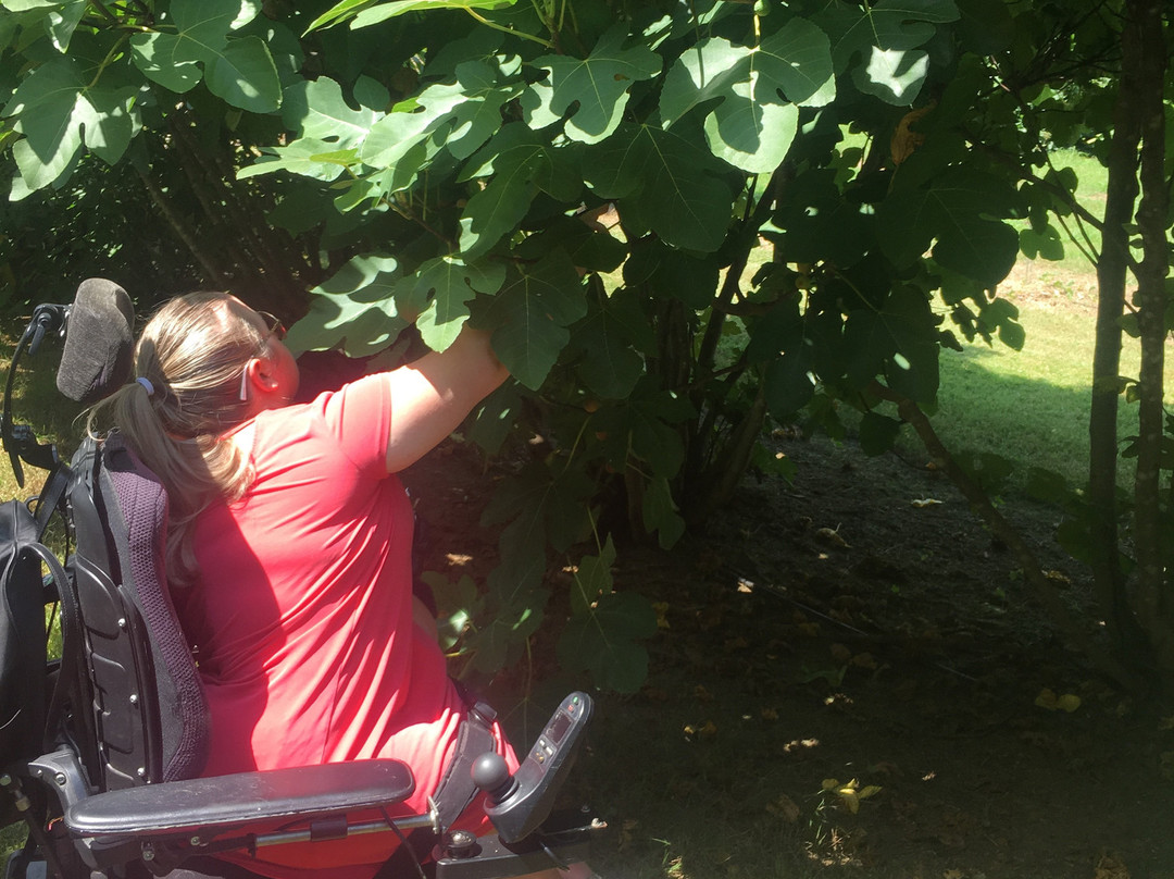 Chattooga Belle Farm-Long Creek必去景点