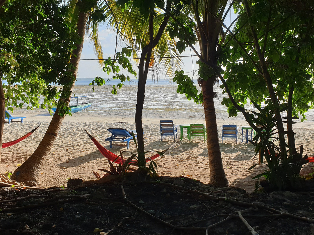 Hoga Island Dive Resort主图