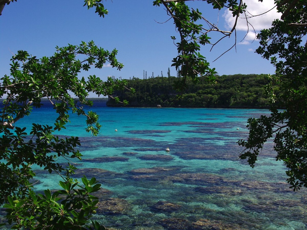 Baie de Jinek-Lifou必去景点