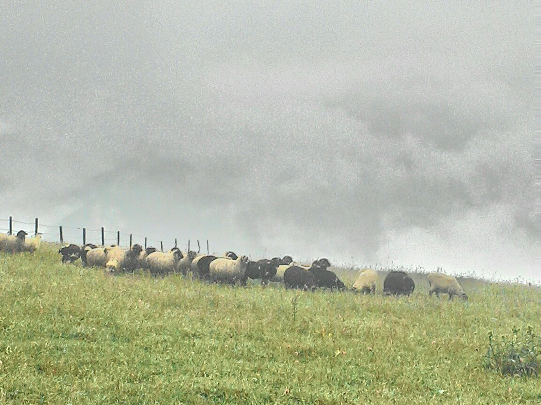 Hotel Kardelen主图