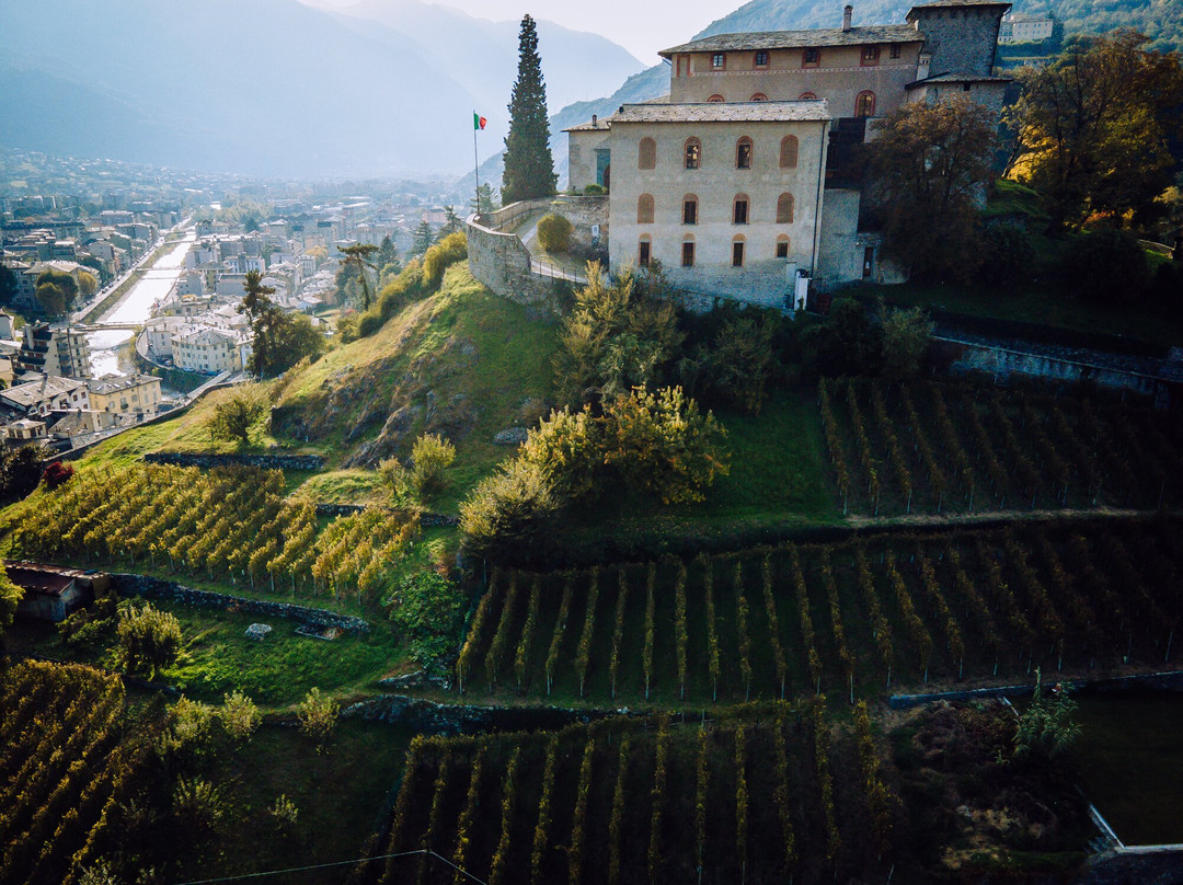 Alberto Marsetti Azienda Agricola景点图片