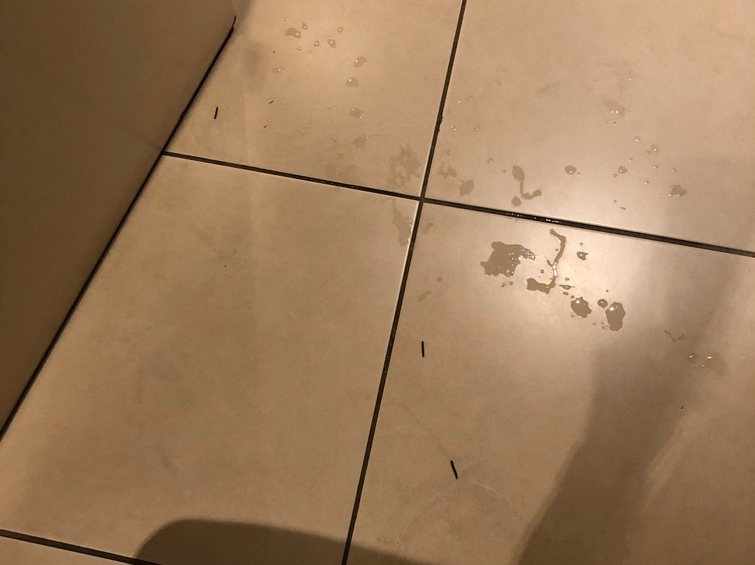 努萨海兹汽车旅馆主图