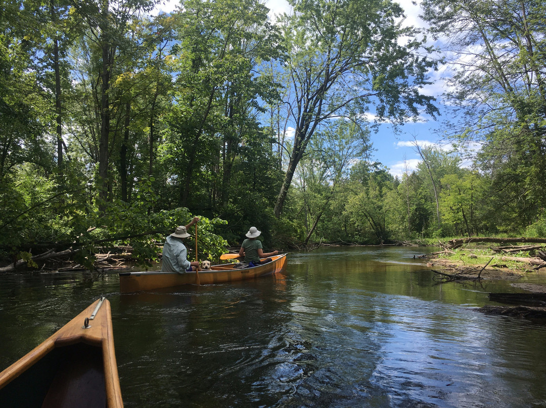 Buckley's Mountainside Canoes-Mount Pleasant必去景点
