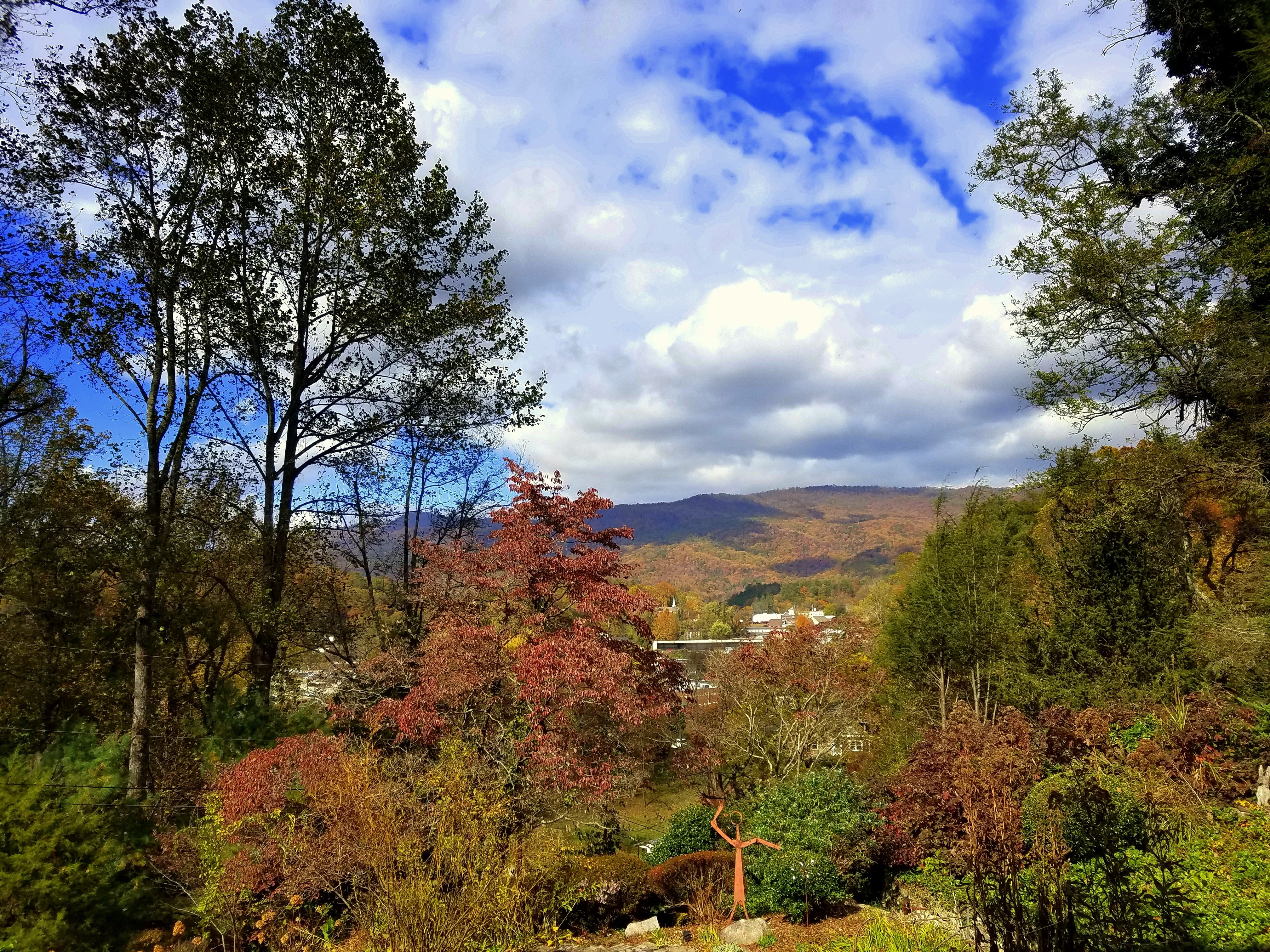 Beechwood Inn-官方