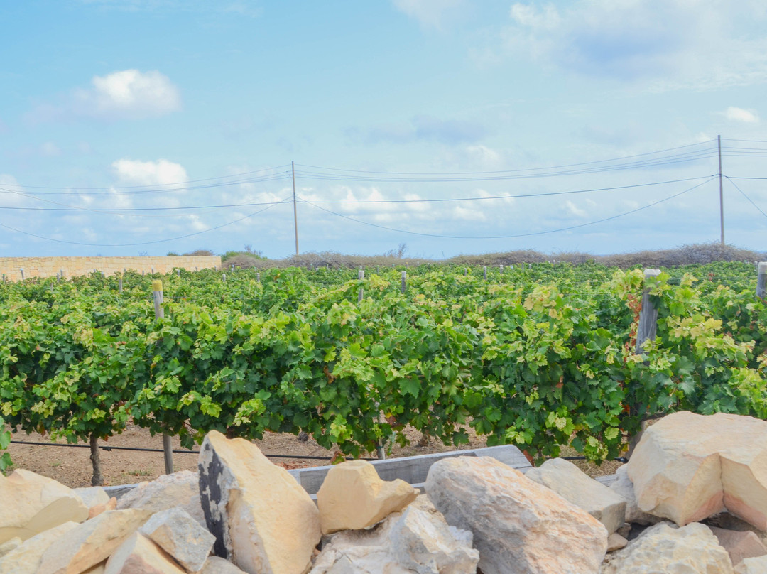 Lighthouse Il-Kalanka