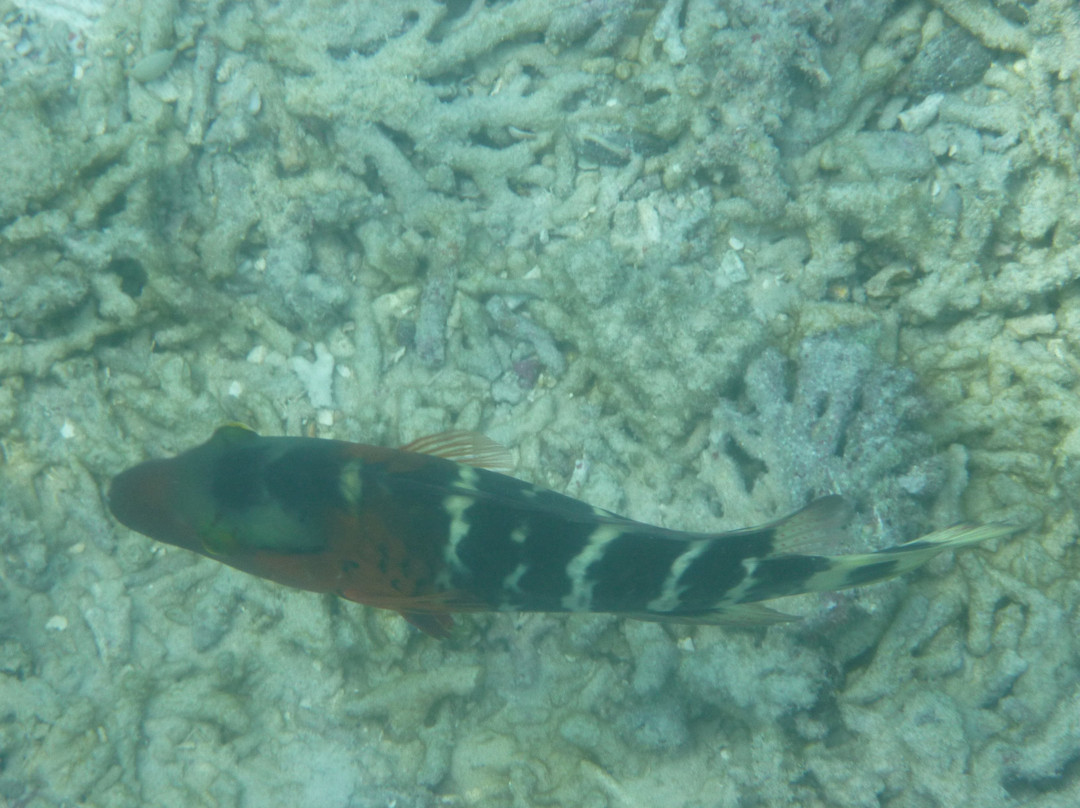 热浪岛海洋生态公园-热浪岛必去景点