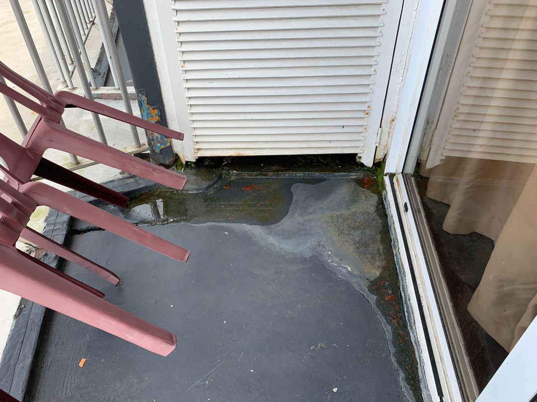 Hotel Krasnapolsky主图