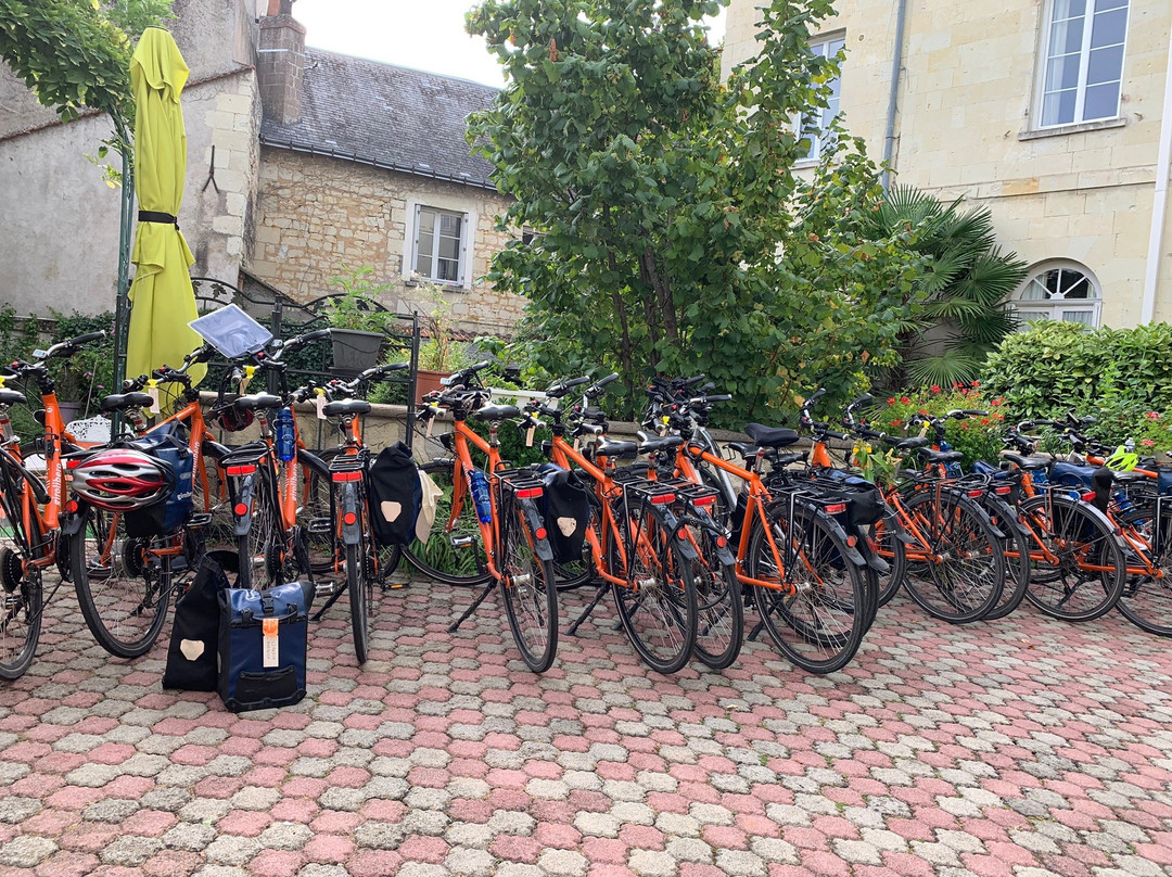 Cit'Hotel Le Plantagenet主图