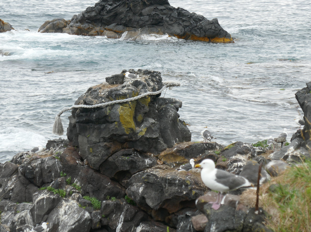 Jimmen Rock-利尻町必去景点