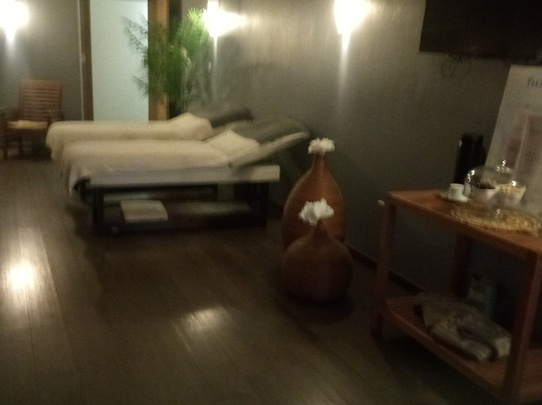 Le Spa Nevers景点图片