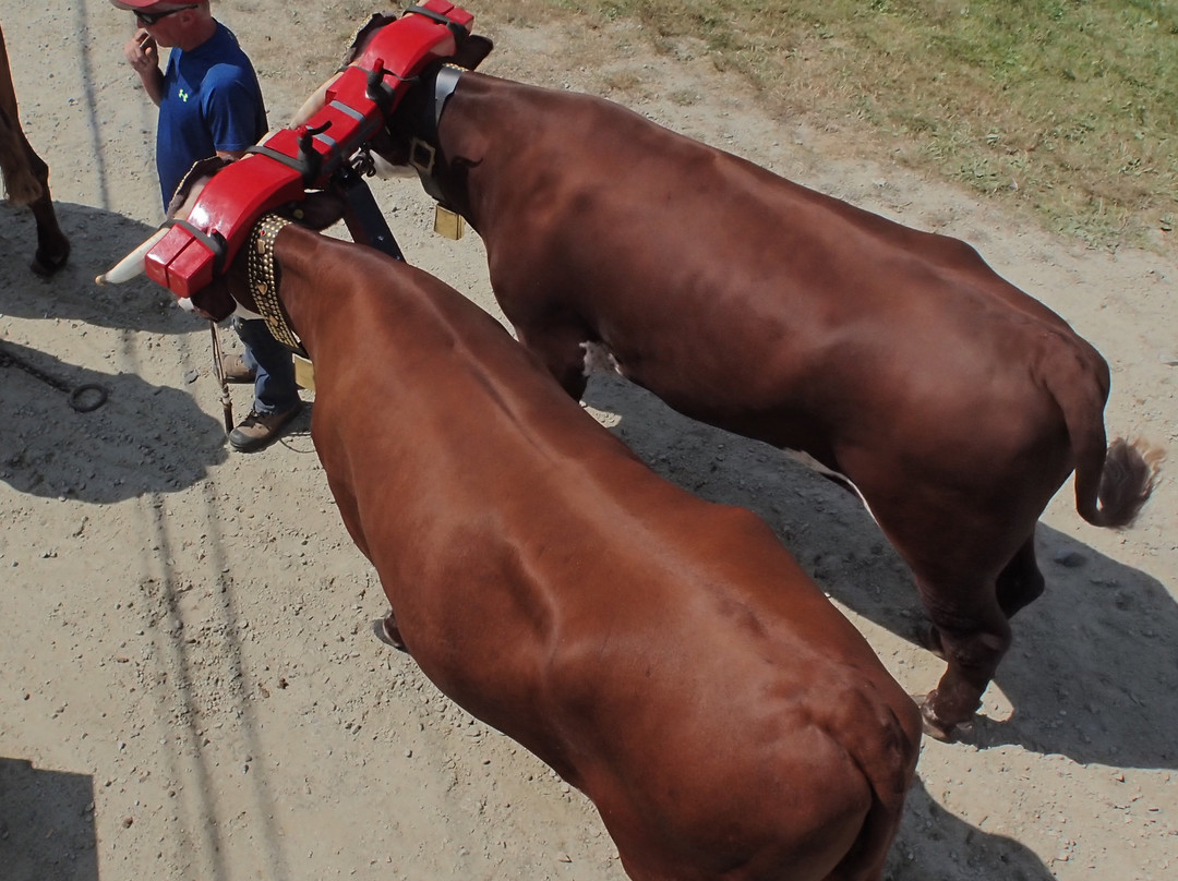 Acadian Museum-Miscouche必去景点