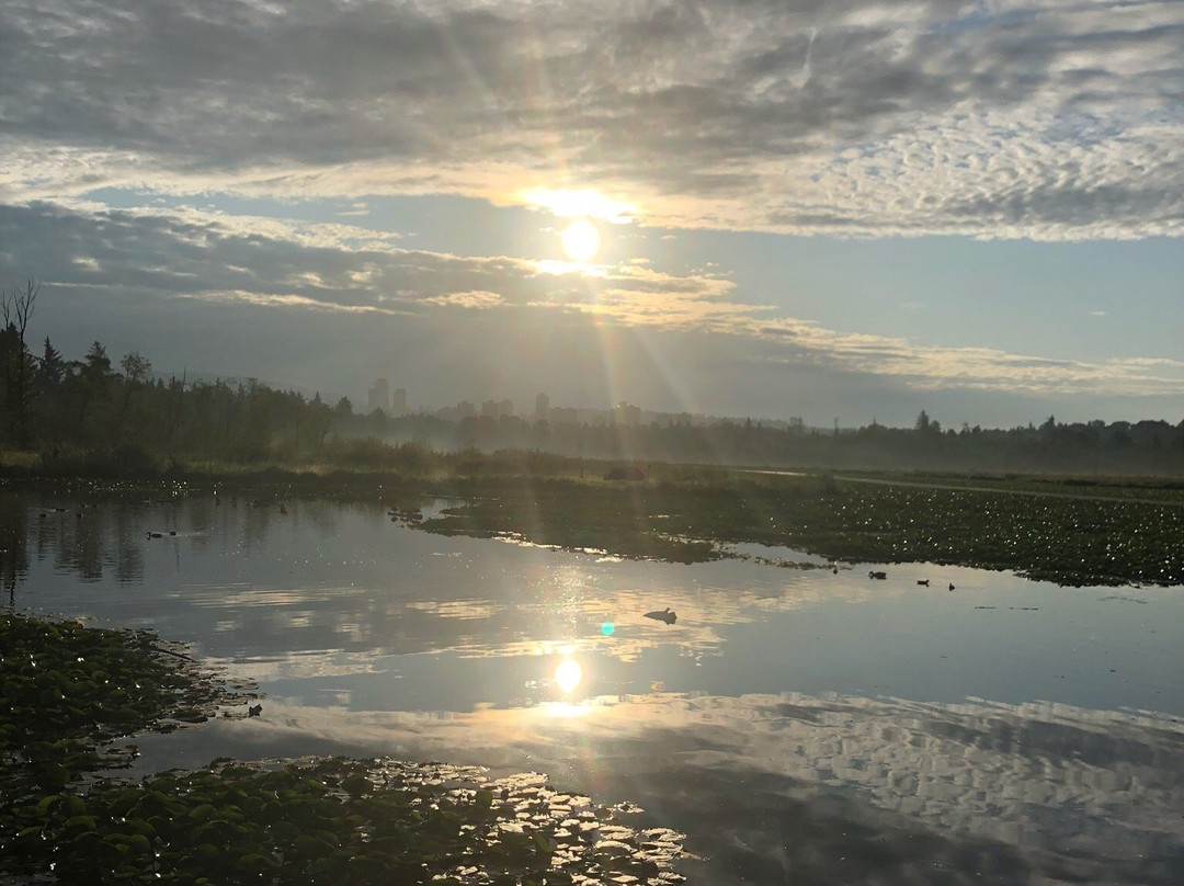 Burnaby Lake-本那比必去景点