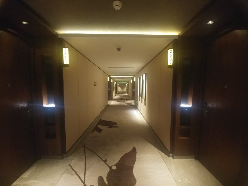 张家界纳百利豪生度假酒店-酒店景观