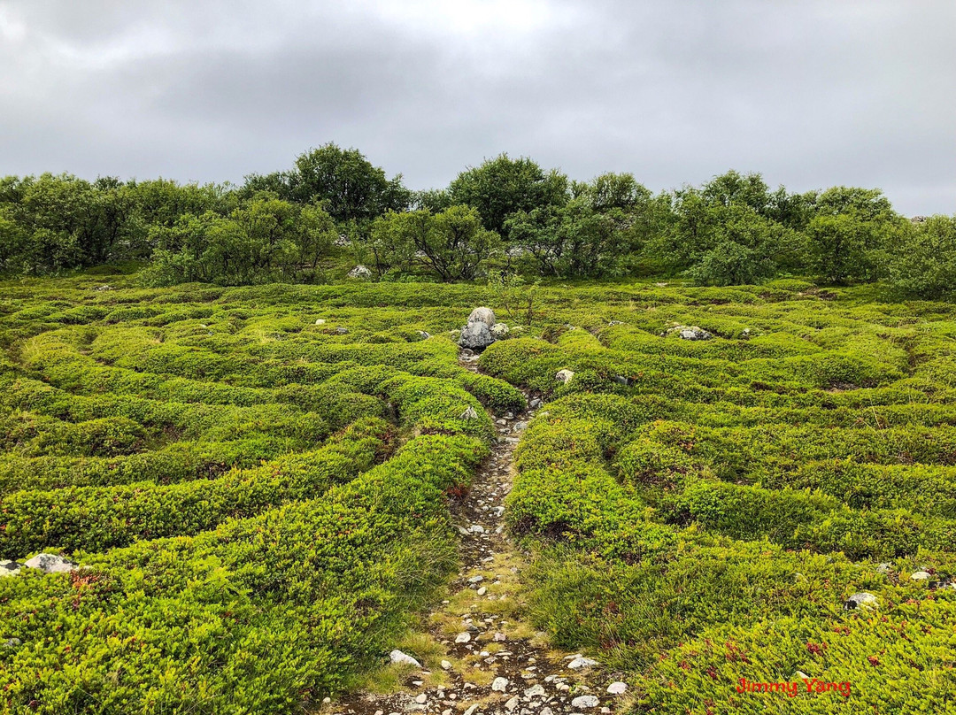 Stone Labyrinths景点图片