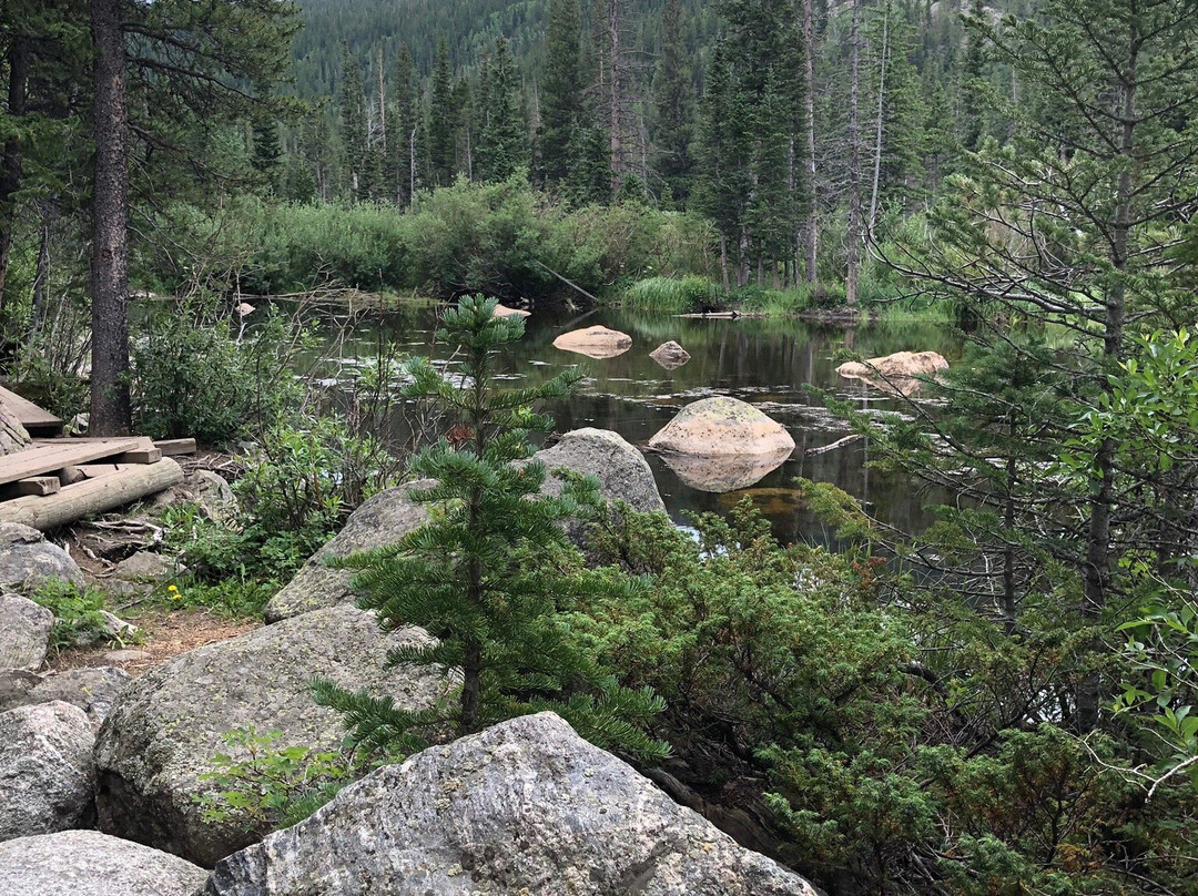 Hessie Trailhead-Nederland必去景点