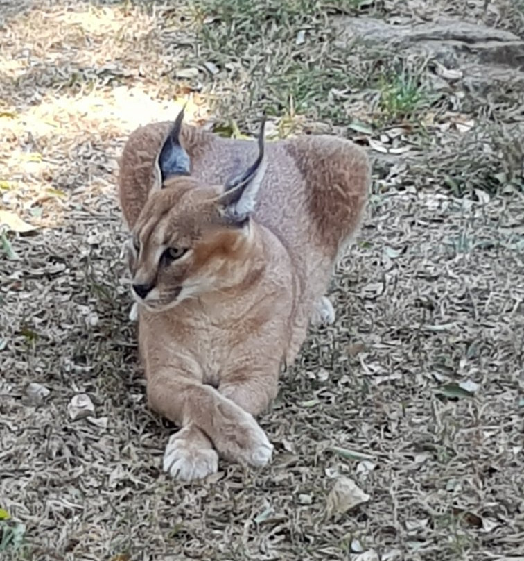 Emdoneni Lodge Spa-赫卢赫卢韦必去景点