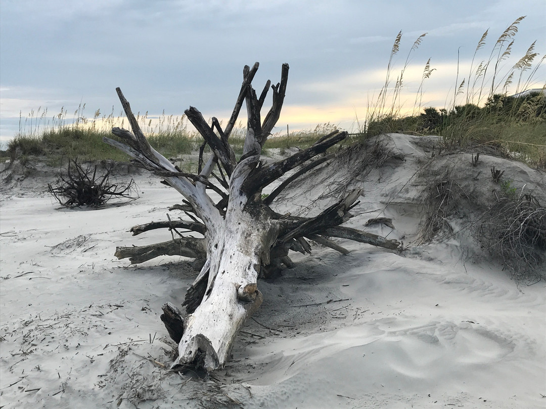 Back River Beach-泰碧岛必去景点