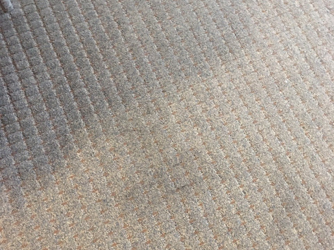 Staybridge Suites 科珀斯克里斯蒂 by IHG主图
