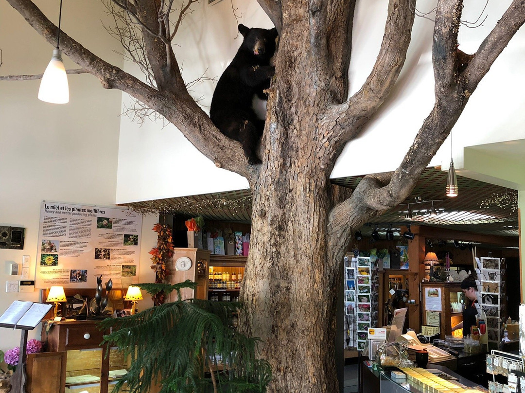 Miellerie Lune de Miel-Stoke必去景点