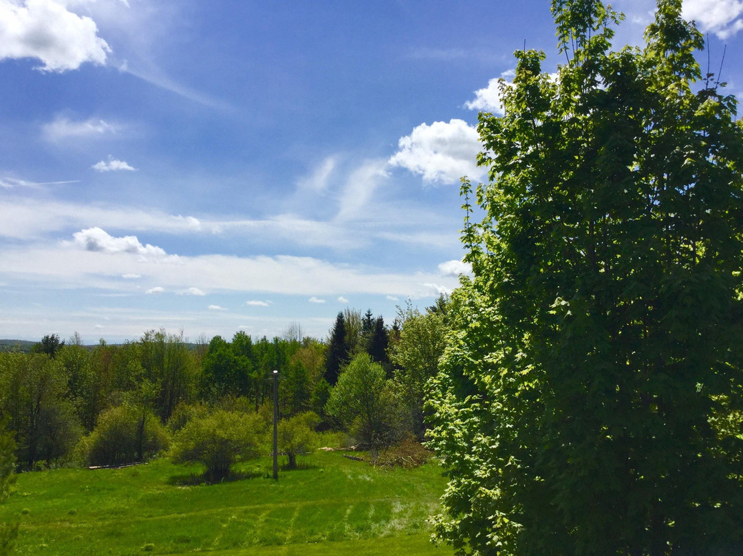 Julia Berasategui Zamora, Réflexologie  Corporelle & Art-Scotstown必去景点