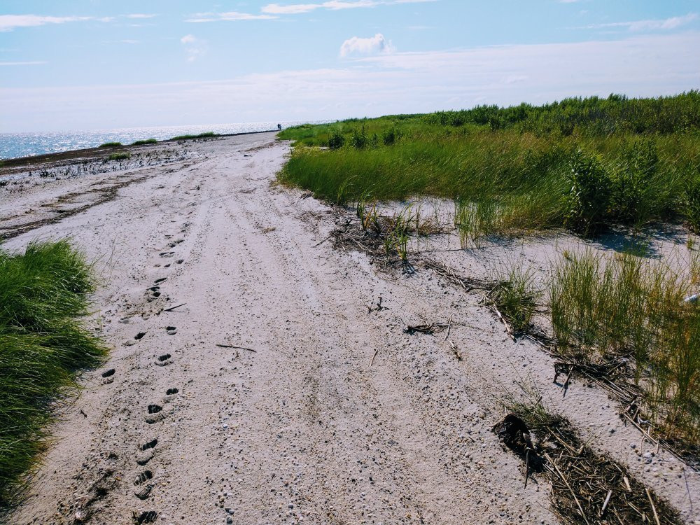 Slaughter Beach-Slaughter Beach必去景点
