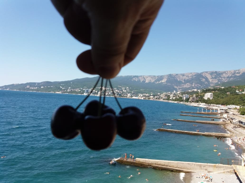 Divo Guest House主图