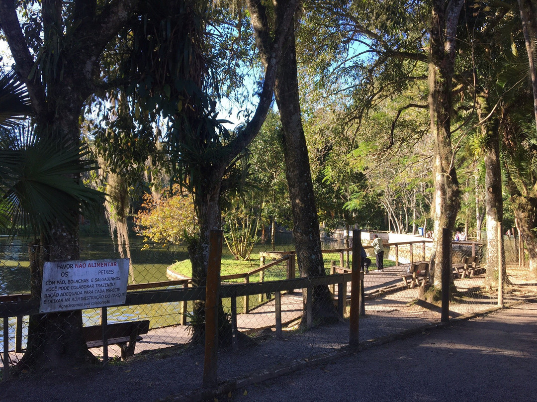 Parque Ecológico do Córrego Grande景点图片