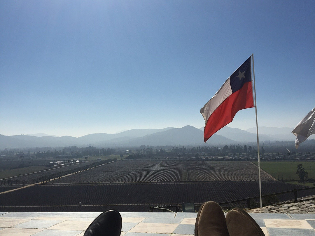 Casablanca Valley Wine Route-卡萨布兰卡必去景点