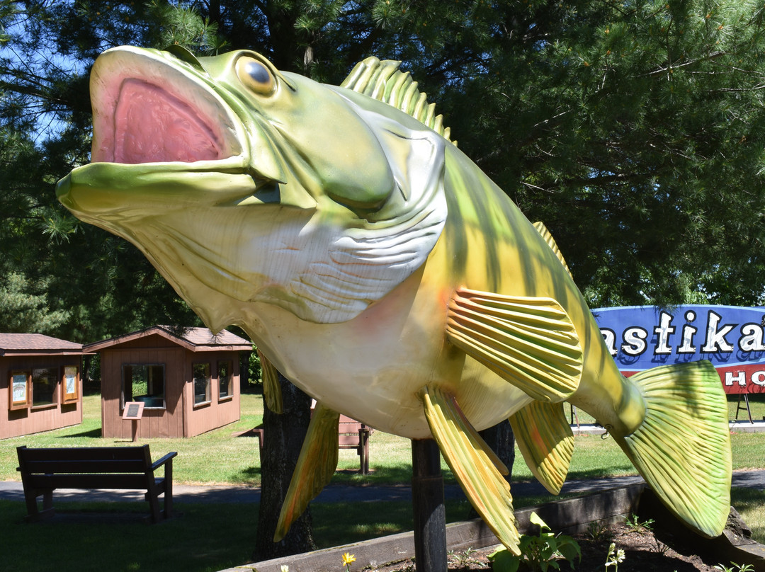 2023年11月Fresh Water Fishing Hall of Fame景点攻略Fresh Water Fishing Hall